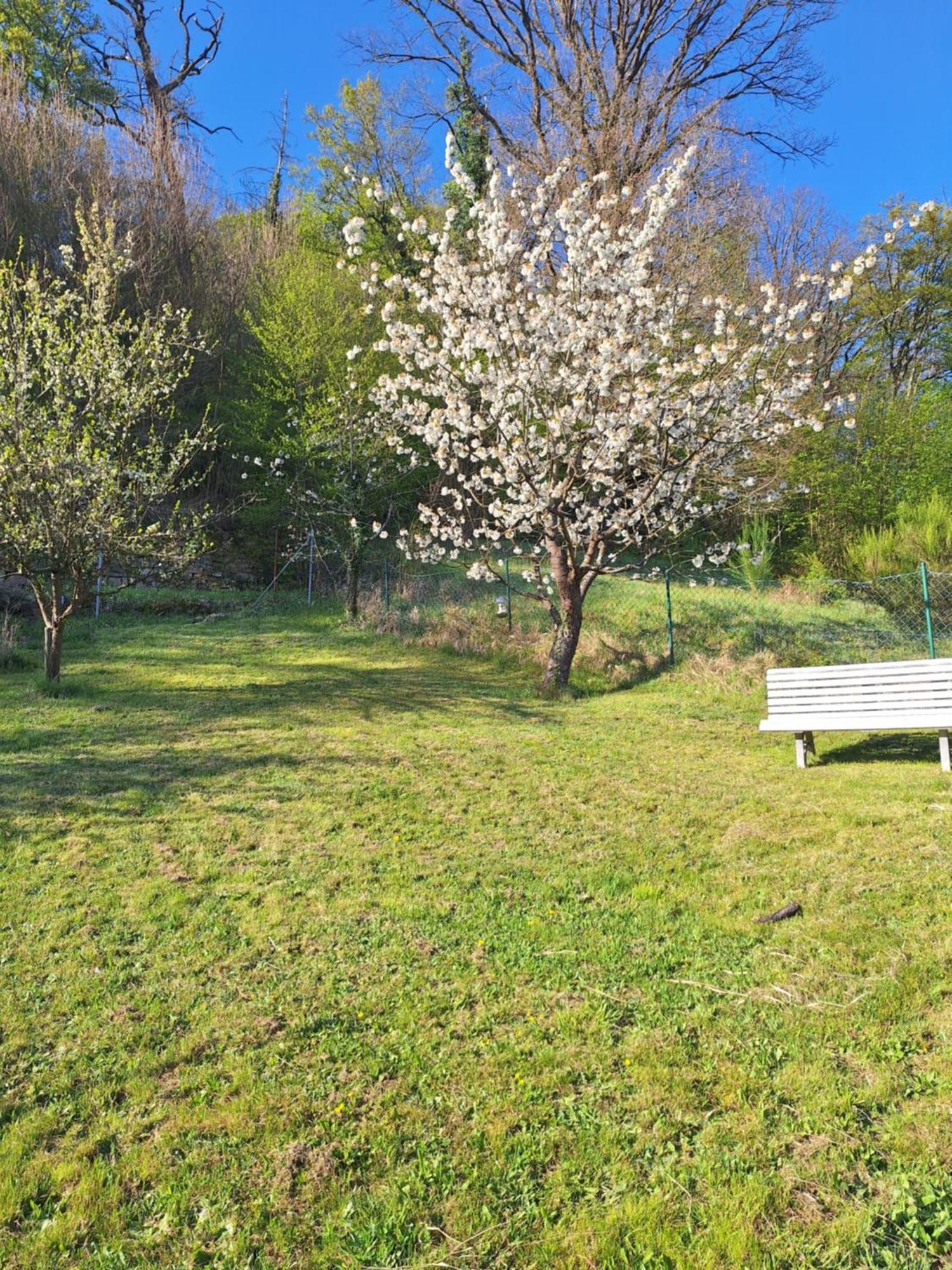 Kleines Domizil Am Suedhang Ortenberg  Exterior foto
